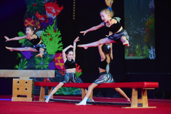 DS Visuals - Le réveil Bettembourg - Gala - 20240128-JPEG sRGB 300dpi-153