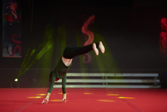 DS Visuals - Le réveil Bettembourg - Gala - 20240128-JPEG sRGB 300dpi-51