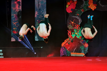 2024-01-27 22.27.54-1