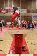 2024-03-17 16.15.48-1