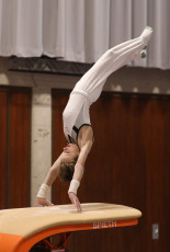 2023-12-09 Training Men 9 December Vault at CGC Bettembourg 2023 (Martin Rulsch) 35