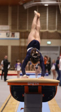2023-12-09 Competition Women Benjamines and Jeunes Espoirs Vault at CGC Bettembourg 2023 (Martin Rulsch) 177