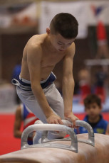 2023-12-10 Warm-up Men Poussines, Benjamines and Minimes Pommel horse at CGC Bettembourg 2023 (Martin Rulsch) 039