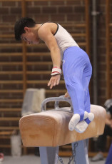 2023-12-10 Competition Men Jeunes Espoirs and Open Pommel horse at CGC Bettembourg 2023 (Martin Rulsch) 268