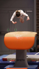 2023-12-09 Competition Women Benjamines and Jeunes Espoirs Vault at CGC Bettembourg 2023 (Martin Rulsch) 210