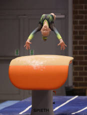 2023-12-09 Competition Women Benjamines and Jeunes Espoirs Vault at CGC Bettembourg 2023 (Martin Rulsch) 139