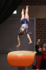 2023-12-09 Competition Women Benjamines and Jeunes Espoirs Vault at CGC Bettembourg 2023 (Martin Rulsch) 113