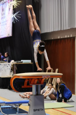 2024-12-14 09.44.19-1