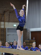 2026-03-15 10.51.03
