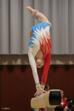 Christmas Gym Cup 2018 - WAG (23)