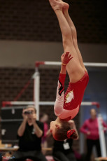 Christmas Gym Cup 2018 - WAG (152)