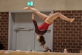 Christmas Gym Cup 2018 - WAG (57)