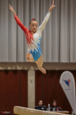 Christmas Gym Cup 2018 - WAG (17)