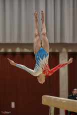 Christmas Gym Cup 2018 - WAG (19)