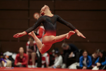 Christmas Gym Cup 2018 - WAG (44)