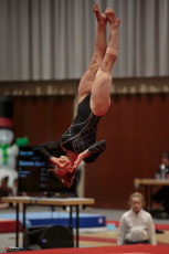 Christmas Gym Cup 2018 - WAG (173)