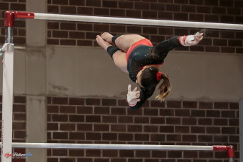 Christmas Gym Cup 2018 - WAG (107)