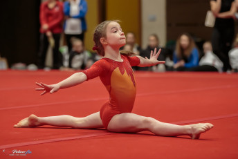 Christmas Gym Cup 2018 - WAG (136)