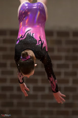 Christmas Gym Cup 2018 - WAG (85)