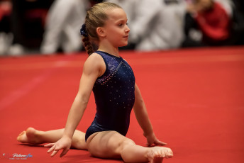 Christmas Gym Cup 2018 - WAG (91)