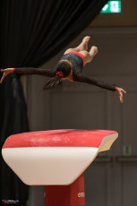 Christmas Gym Cup 2018 - WAG (63)