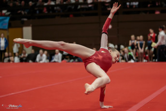 Christmas Gym Cup 2018 - WAG (155)