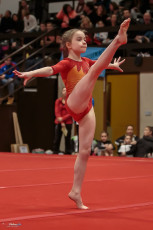 Christmas Gym Cup 2018 - WAG (135)