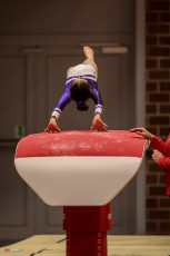 Christmas Gym Cup 2018 - WAG (50)