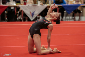 Christmas Gym Cup 2018 - WAG (111)