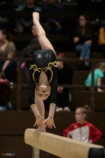 Christmas Gym Cup 2018 - WAG (31)