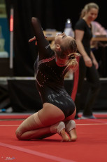 Christmas Gym Cup 2018 - WAG (179)