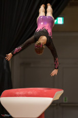 Christmas Gym Cup 2018 - WAG (72)