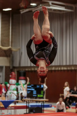 Christmas Gym Cup 2018 - WAG (171)