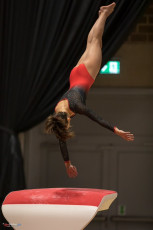 Christmas Gym Cup 2018 - WAG (71)