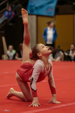 Christmas Gym Cup 2018 - WAG (148)