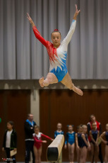 Christmas Gym Cup 2018 - WAG (21)