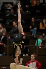 Christmas Gym Cup 2018 - WAG (33)