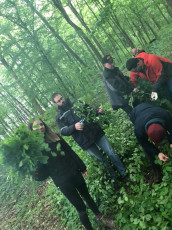 31655549_630219953990124_4190706406543851520_n