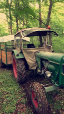 31662214_630219970656789_2982792162153857024_n