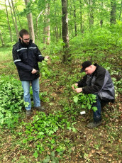 31779141_630220007323452_6692815857678024704_n