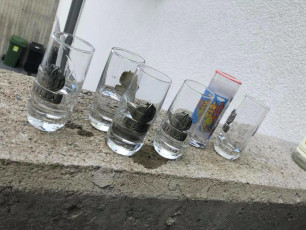 31512528_630290353983084_2534780180728119296_n